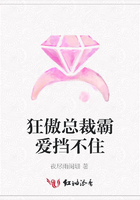 狂傲总裁霸爱挡不住