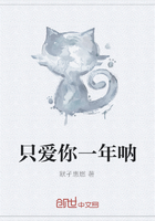 只愛你一年吶在線閱讀