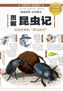 圖解：昆蟲記