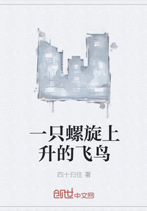 一只螺旋上升的飛鳥