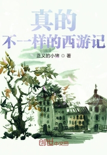 真的不一樣的西游記