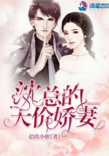 沈總的天價(jià)嬌妻