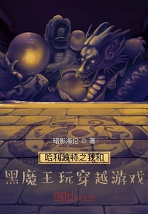 哈利波特之我和黑魔王玩穿越游戲