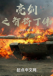 亮劍之智將丁偉