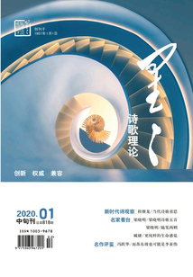 星星·詩歌理論（2020年第1期）
