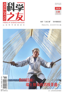 科學(xué)之友(2020年第10期)