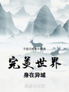 完美世界:身在异域