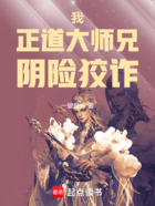 我，正道大师兄，阴险狡诈！