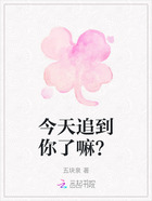 今天追到你了嘛？在线阅读