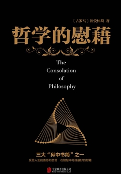 哲学的慰藉 封面