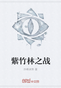 紫竹林之戰