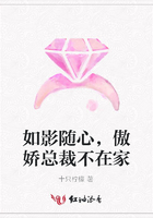 如影隨心，傲嬌總裁不在家在線閱讀