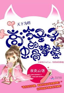 天下為聘:高冷圣子的蝕骨摯愛