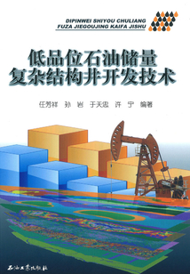低品位石油儲量復雜結構井開發技術