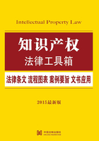 知识产权法律工具箱：法律条文·流程图表·案例要旨·文书应用在线阅读