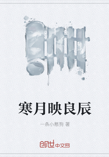 寒月映良辰