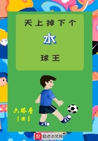 天上掉下個水球王在線閱讀