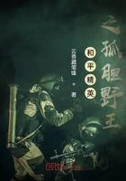 和平精英之孤胆野王在线阅读