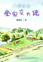 一不小心全家变大佬