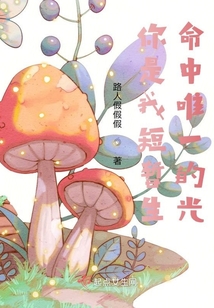 你是我短暫生命中唯一的光