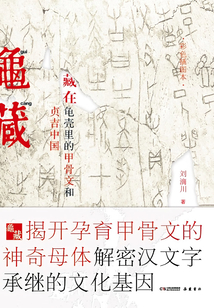 龜藏：藏在龜殼里的甲骨文和貞吉中國