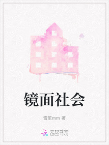 鏡面社會