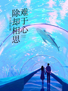 除却相思难于心在线阅读