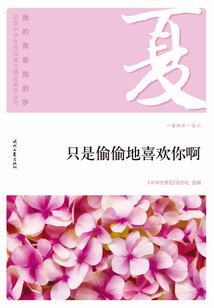 “我的青春我的夢”全國中學生校園美文精品集萃叢書:只是偷偷地喜歡你啊