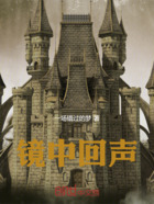 镜中回声在线阅读