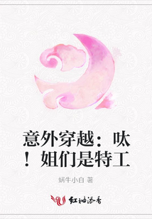 意外穿越:呔!姐們是特工