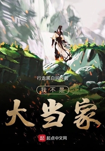 我不是大當家