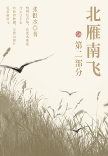 北雁南飛·第二部分(張恨水經典小說)