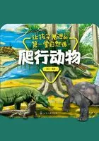 让孩子着迷的第一堂自然课:爬行动物在线阅读