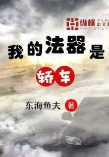 我的法器是轎車