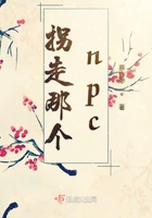 拐走那個npc在線閱讀