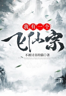 我有一個飛仙宗