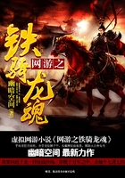 網游之鐵騎龍魂在線閱讀