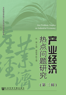 產(chǎn)業(yè)經(jīng)濟(jì)熱點(diǎn)問題研究(第三輯)