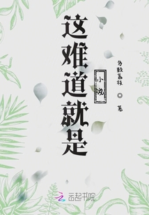 這難道就是小說？