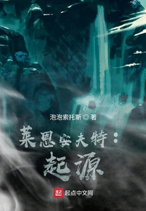 萊恩安夫特：起源