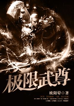 极限武尊 封面