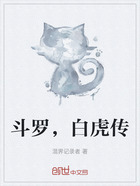 斗罗,白虎传在线阅读