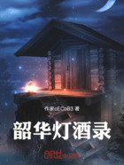 韶华灯酒录在线阅读