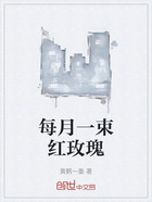 每月一束红玫瑰在线阅读