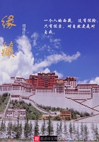 缘藏在线阅读