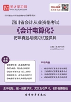 四川省会计从业资格考试《会计电算化》历年真题与模拟试题详解