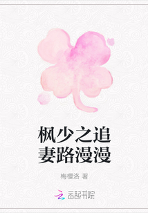 楓少之追妻路漫漫