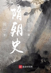 另一半隋朝史