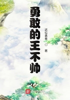 勇敢的王不帅