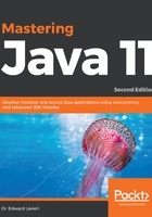 Mastering Java 11在线阅读